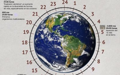 El tiempo geológico